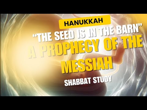 Hanukkah | "The Seed Is In The Barn" | Prophecy of The Messiah | The Conception | Shabbat Study