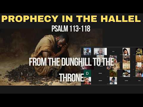 hqdefault-367