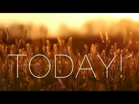 hqdefault-244