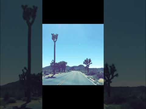 hqdefault-215