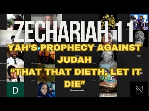 hqdefault-278