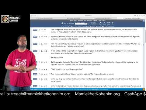 hqdefault-113