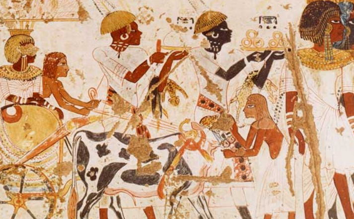 Israelites Named Cushi May have Been “unusually dark-skinned”